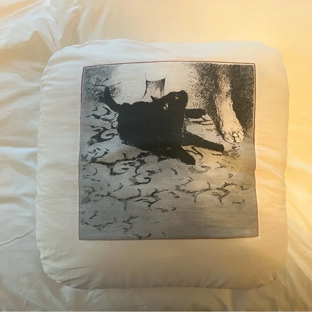 Black Cat Square Throw Pillow Art Drawing Black White Zipper 18 X 18 Signed